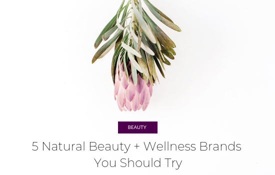 natural wellness makeup brands